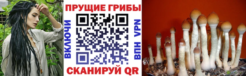 хочу наркоту  Яблоновский  МЕГА ТОР  Галлюциногенные грибы ЛСД 